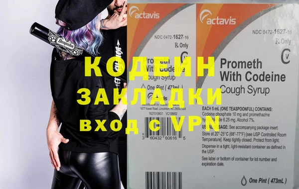 индика Новозыбков
