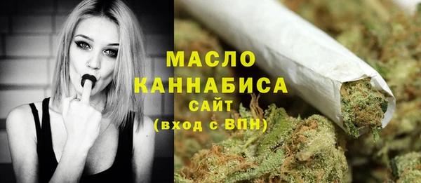 гидра Михайловск