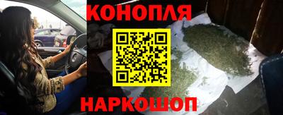 сатива Камышлов