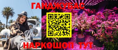 прущие крисы Канаш