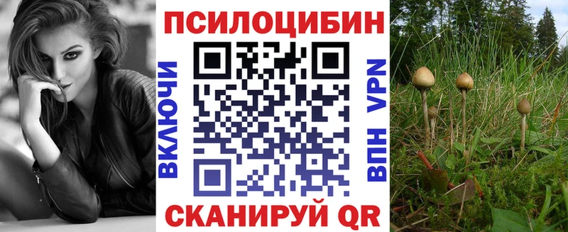 Псилоцибиновые грибы Cubensis  Тверь 