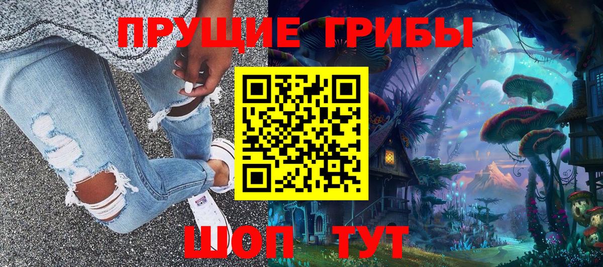 Псилоцибиновые грибы Cubensis  Вход с VPN  Тверь 